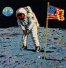 houston golfing golfer moon america usa sports humor birdie