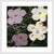 Flower Power; Gorgeous Grays V4 Print